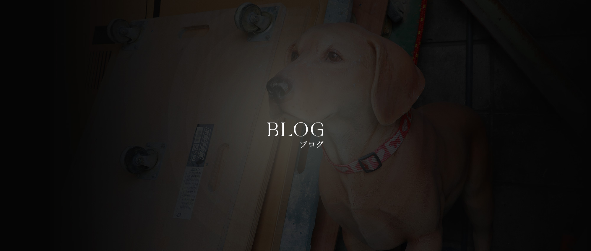 Blog